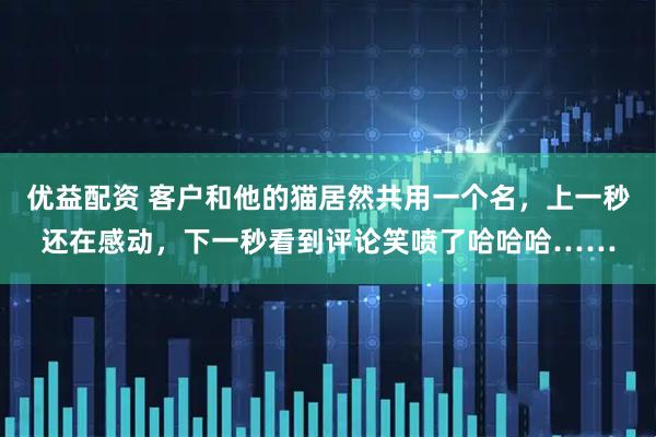 优益配资 客户和他的猫居然共用一个名，上一秒还在感动，下一秒看到评论笑喷了哈哈哈……