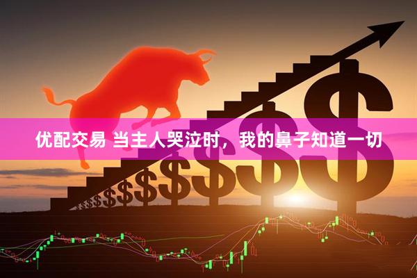 优配交易 当主人哭泣时，我的鼻子知道一切