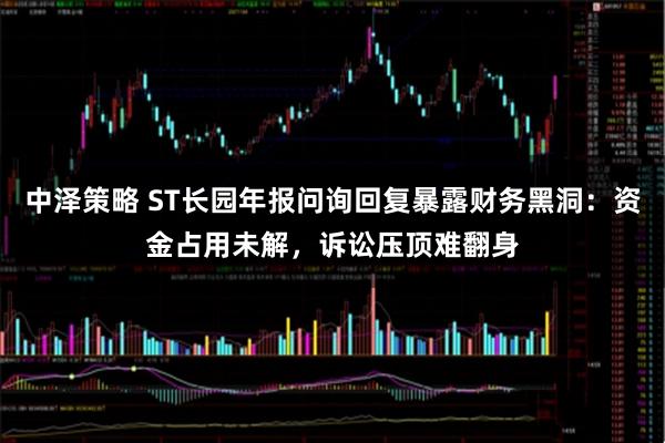 中泽策略 ST长园年报问询回复暴露财务黑洞：资金占用未解，诉讼压顶难翻身