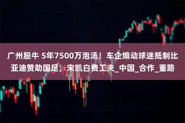 广州股牛 5年7500万泡汤！车企煽动球迷抵制比亚迪赞助国足，宋凯白费工夫_中国_合作_董路
