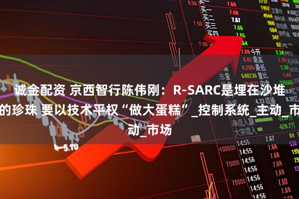 诚金配资 京西智行陈伟刚：R-SARC是埋在沙堆里的珍珠 要以技术平权“做大蛋糕”_控制系统_主动_市场